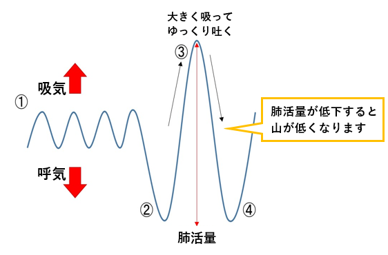 図2:肺活量検査の波形