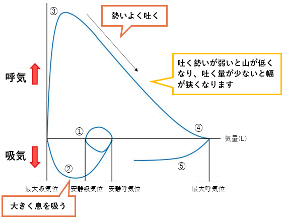 図3:努力性肺活量検査の波形