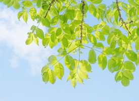 画像:機能強化加算に係る掲示