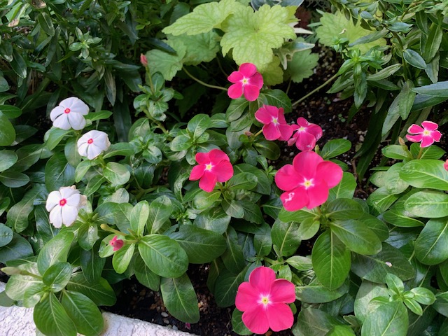 image3.jpeg