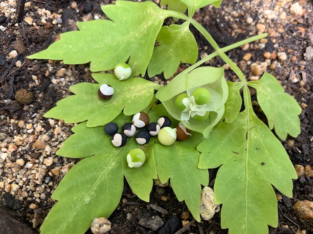 image2.jpeg