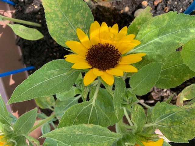 image2 (2).jpeg