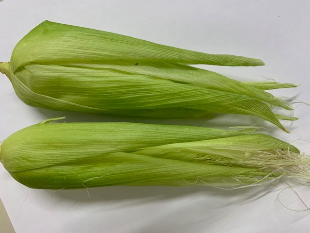 image0.jpeg