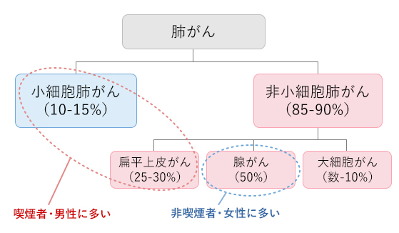 画像：肺がんの発生率