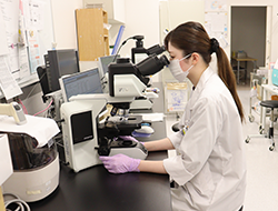 業務例：一般検査