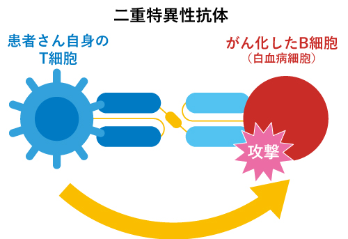 画像:二重特異性抗体