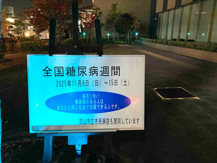 画像:2025年ライトアップの様子①