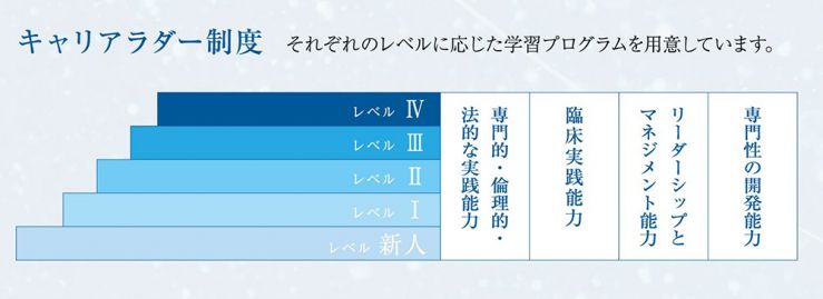 キャリアラダー制度図解